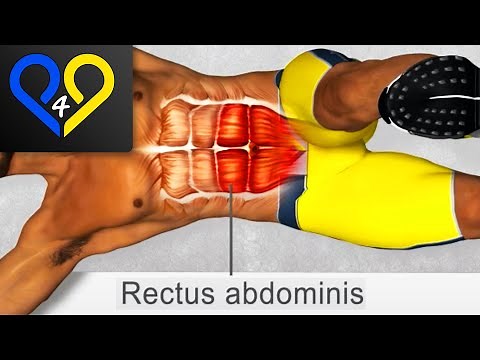 "4 Time Ab" the best exercise for lower abs