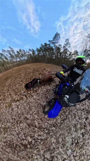 Angry dog 🐾🐾 #motorcycle #insta360 #dog #yamaha #forest