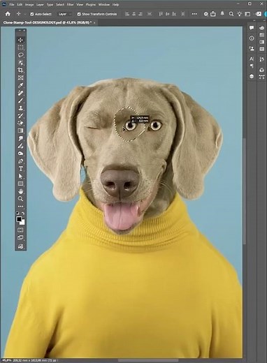 Clone Stamp Tool | Adobe Photoshop #designology #photoshop #tutorial #tricks #tips