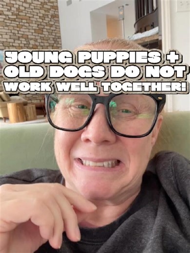 Navigating Puppy and Older Dog Dynamics