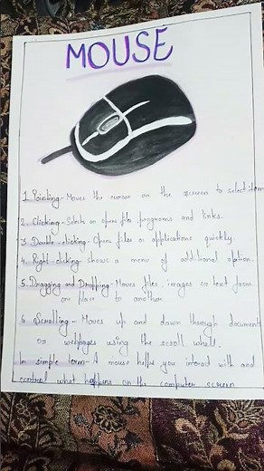 diagram and function of mouse #computer science