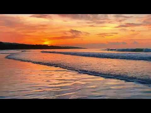 Calming Beach ASMR | Soft Waves, Seagulls & Breeze for Peaceful Sleep and Deep Relaxation