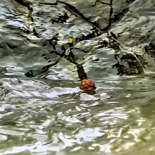 Beautiful girl insulted Mahadev#movie #movieexplained #girls #hearttouching #viral