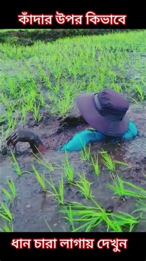 কি poriman কাদা dakun২০২৬।।।#shorts #shortvideo