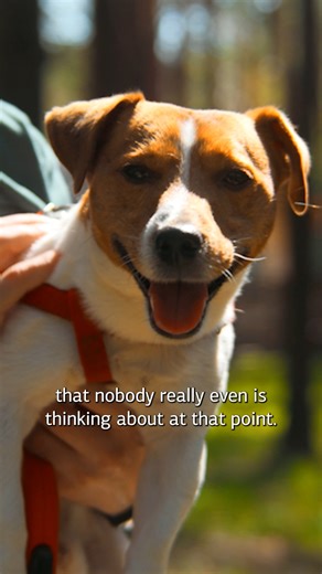 🐾 Today, on International Day of Veterinary Medicine, we honor the veterinarians whose compassion and dedication make a world of difference. To our valued vet customers and partners—including the exceptional Dr. Brad Roach—thank you for supporting animal health through your expertise and your trust in Standard Process. We’re proud to be part of your mission. 🐶🐱💚 | Standard Process Inc.