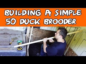Building a Baby Duck Brooder