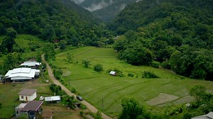 Mountain, Trees, Foest, Fog
