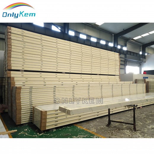 [Hot Item] Insulated Wall and Floor Cold Room Panels for Cold Storage