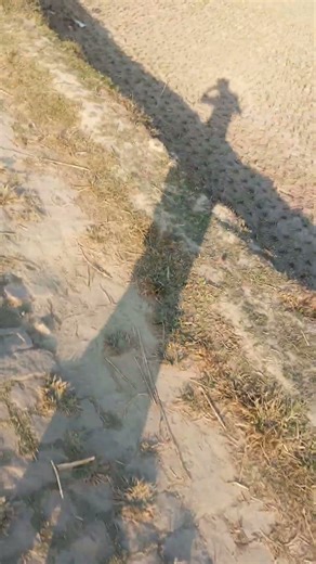 #mizanur_rahman_azhari #মিজানুর_রহমান_আজহারী #waz