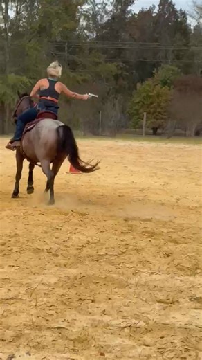Check out this gelding by Streaker😍 | Bigsky Streaker