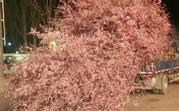 那些值得单曲循环的仙品R&B-搞咩啊xw-I know -哔哩哔哩视频