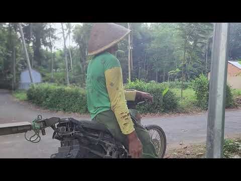 Farm to Table: Transporting Raw Peanuts After Harvest _FarmersLife _Shorts
