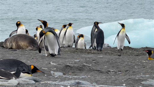 Julia Quinn on Reels