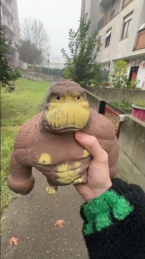 LET'S LEAVE MRMONKEY IN A SQUARE FOR 24 HOURS!! 🎲#monkey #foryou #monkeychallenge #toys #irony