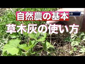 【自然農の基本】草木灰の使い方