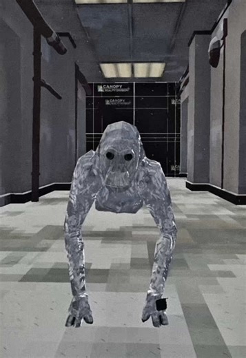 Exploring Animal Company in Virtual Reality