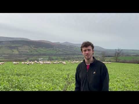 Meet Tudor Rodderick 2026 Nuffield Scholar