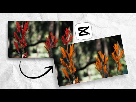 How to Change Color of Any Objects in CapCut