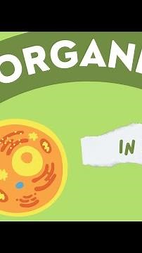 Cell organelles in 2mins!