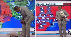Dog Hilariously Crashed Live Weather Forecast And The Weatherman Warmly Greeted The ‘Trespasser’