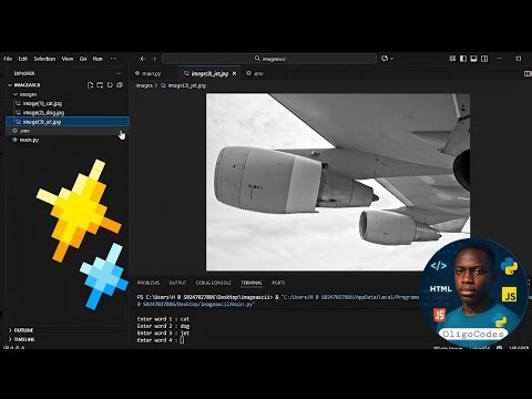 Using Python to build the OligoCodes Image Downloader 🎨 🫢