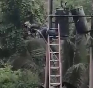 Worker Gets To Feel Getting Electrocuted Repeatedly.