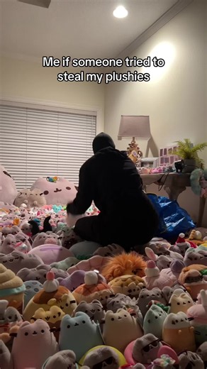 Dont touch my plushies #pusheen #plush #plushies #kawaii #kitty | pusheen