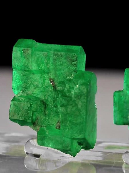 Beryl var. Emerald - Pakistan | Fine Art Minerals | Emerald |
