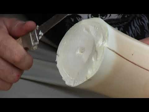 How To Cut And Cook Swamp Cabbage (Heart of Palm Tree)