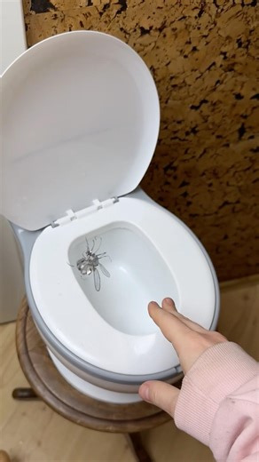 From Doorbell to Sad Mosquito 😭🦟