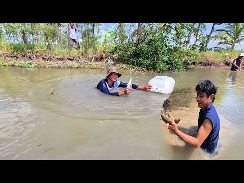 Kéo Côn Bắt Cá May Mắn Được Thêm 7 Con Ếch Cụ || Giang Ca SB #141