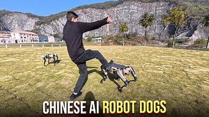 Robotic dogs from China: Performance, features, and real-world test