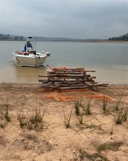 Victorian Fisheries Authority on Instagram: "OzFish and volunteers doing great things for Blue Rock bass! #repost @ozfishunlimited Australian Bass are beaming at Blue Rock Lake in Victoria, following the installation of 8 large fish hotels over the weekend.⁠ ⁠ We joined 20 excited fishers and community members to build the habitat structures from upcycled hardwood timber. These are being installed close to shore to improve land-based fishing opportunities for Australian Bass.⁠ ⁠ This project was