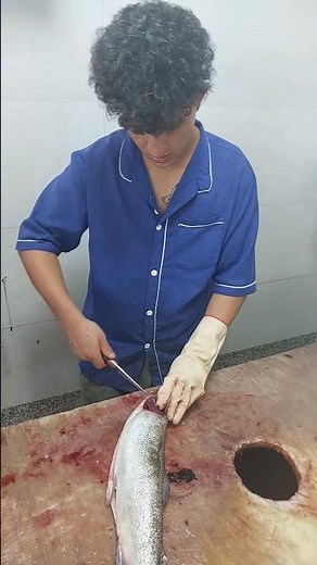 Young Fishmonger Shows Masterful Butterfly Filleting of Trout