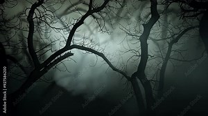 Spooky tree and smoke in horror forest, Fog among the dark tree trunks, Creepy night autumn forest landscape. Horror scene, mysterious atmosphere, haunted woods Halloween