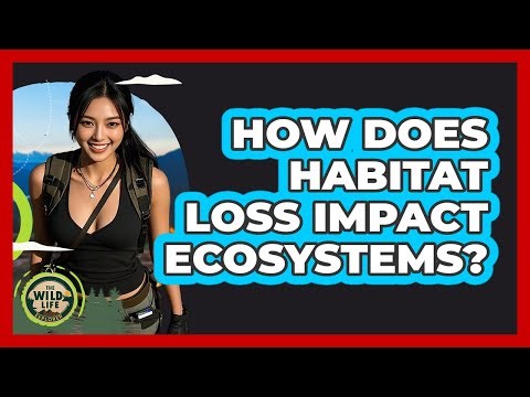 How Does Habitat Loss Impact Ecosystems? - The Wild Life Explorer