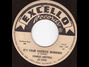 Charles Sheffield - It's your voodoo working
