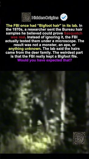 The FBI Found Bigfoot Hair #darkhistory #facts #historyfacts