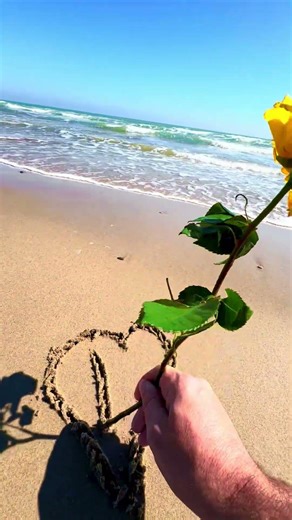 🌊☀️❤️ i and sea #viral #beach #asmr #art #love #usa #look