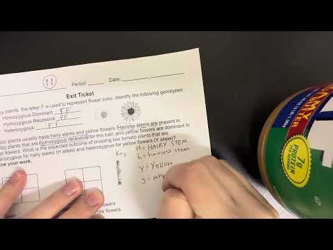 Solving a dihybrid cross - Genetics