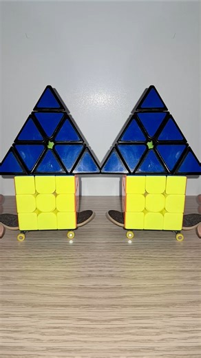 skateboard 3x3 and Pyraminx with mirror