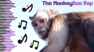 MonkeyBoo's OFFICIAL Rap Song! 🐵 The #MonkeyBooCrew had a blast making this one! 😍 | MonkeyBoo
