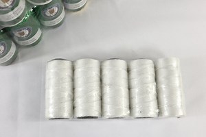 [Hot Item] 210d/24 Ply White Color Nylon Twine PP Twine for Dubai Market