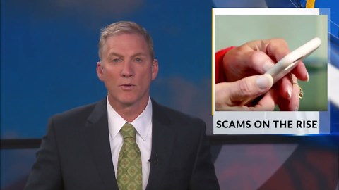 NM MVD warns against continuing scams and fraud