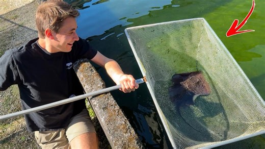 I discovered a hidden fish farm! 🐟