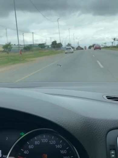 311K views · 1.6K reactions | Forget the cops for now… escape these taxi thugs first  Polokwane levels! | SA Trucker | Facebook
