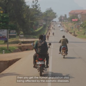 151K views · 117 reactions | #Ad paid & presented by PATH What are zoonotic diseases, and how can farming communities protect themselves from these human-animal health threats? See how vets are helping reduce the risk of infection in #TheClimateAndUs. | BBC StoryWorks | Facebook