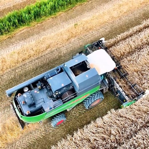 Witness harvesting like never before! 🚁️️️️️️️️️️️️️️️️️️️️ Aerial views showcase the entire process, from machinery in operation to farmers diligently at work🌾🔥✅ | Big Machines