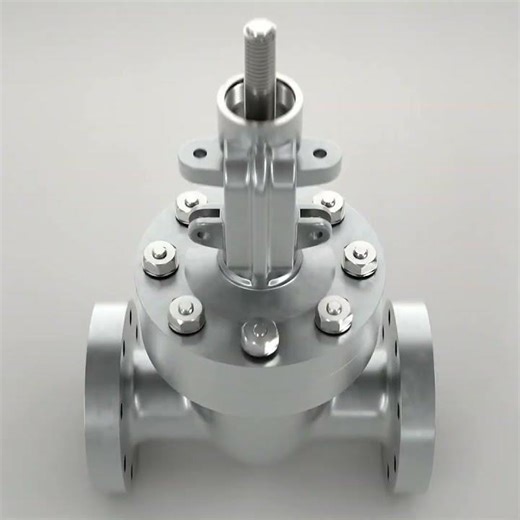 Animation explaining the working principle of a valve