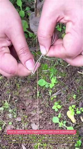 Line Triggered Trap, Smart Lure Mechanism#diy #skills #lifewisdom